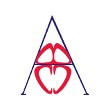 British Congenital Cardiac Association
