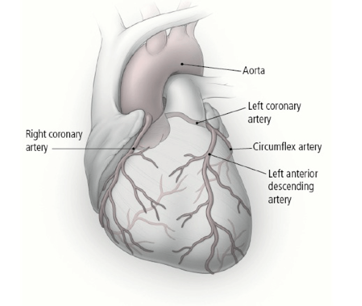 Kawasaki Disease